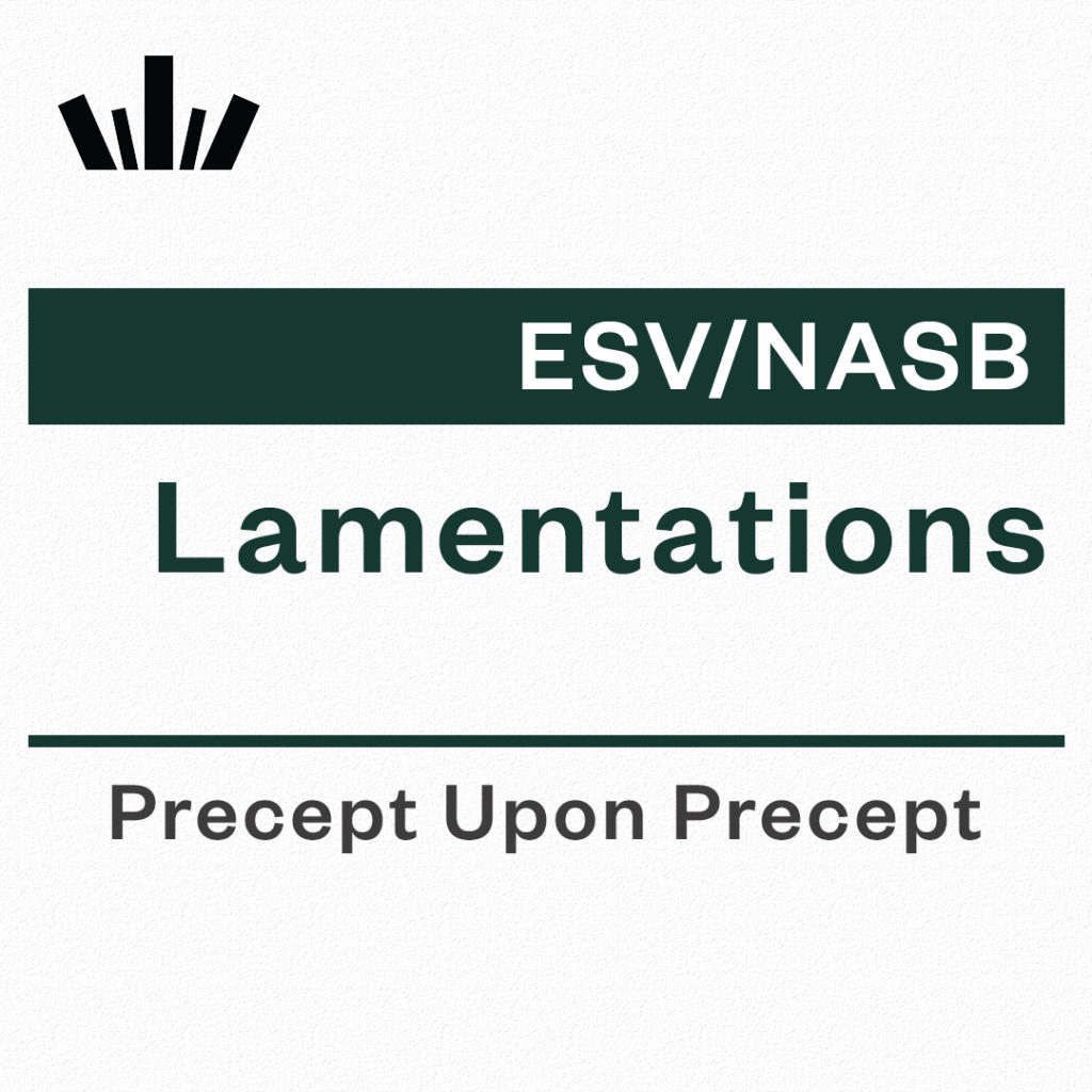 lamentations-precept-upon-precept-bible-study-precept-uk